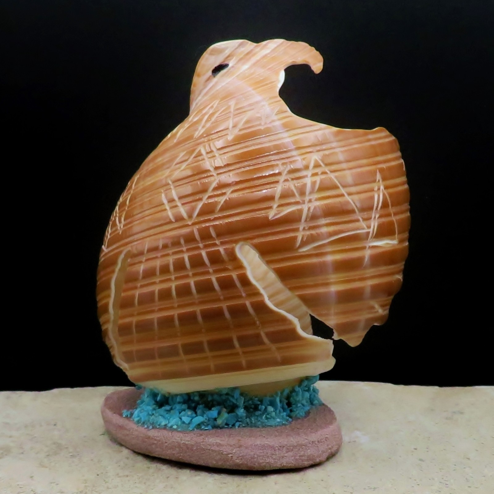 Zuni Fetish-Native American Animal Carving-Large Shell EAGLE-Daniel Chattin