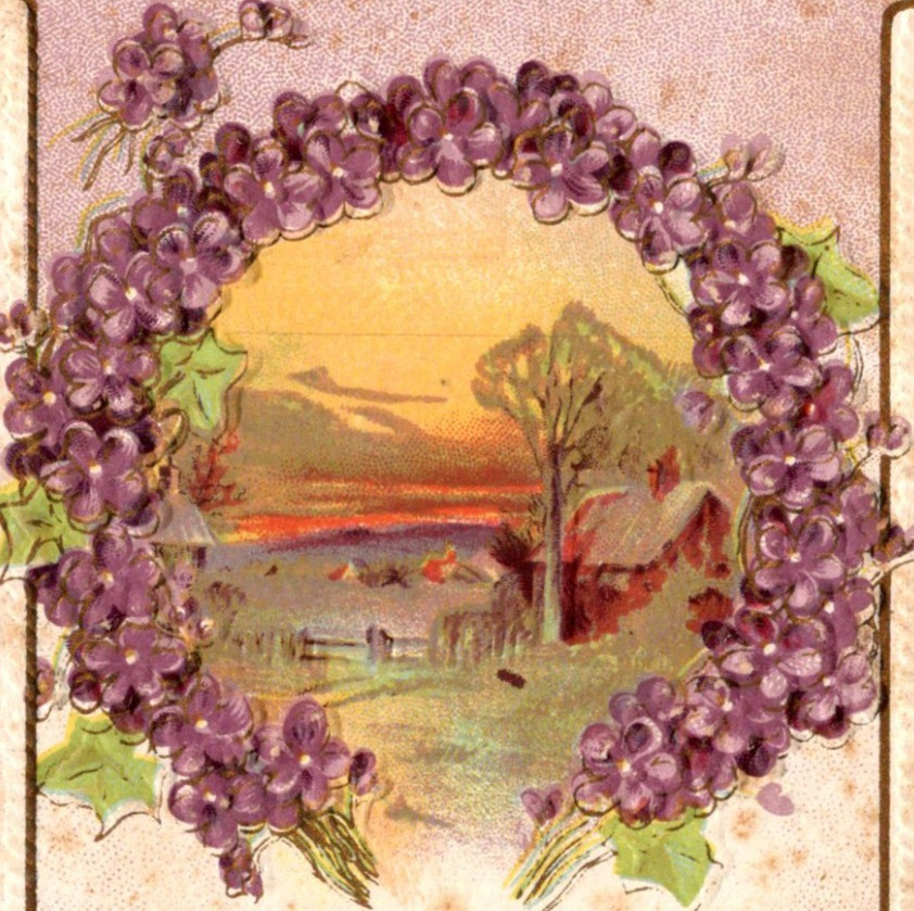 * Antique DB Postcard Best Birthday Wishes Rural Scene Sunset Embossed c1900s