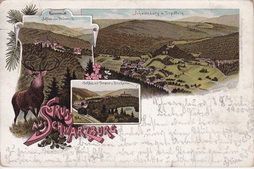 Ancient Litho Ak, Greeting From Schwarzburg, Various Views 1900