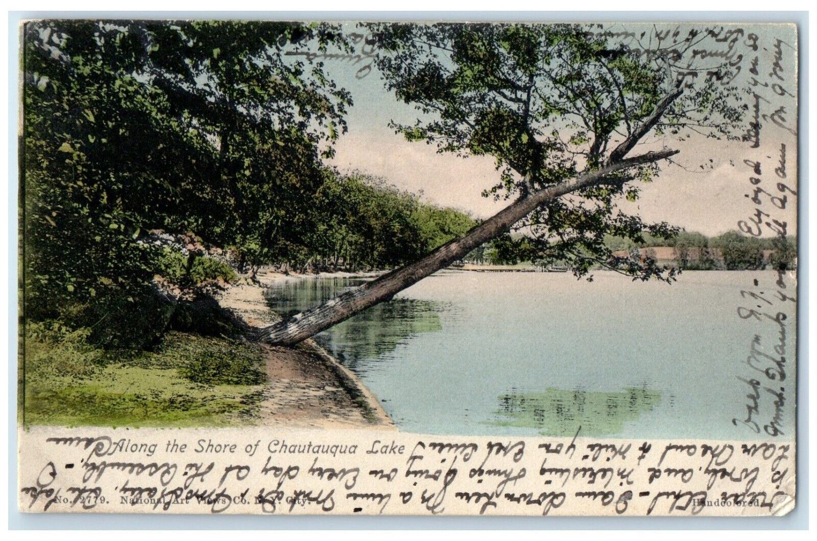 1905 Scenic View Along Shore Chautauqua Lake New York NY Vintage Posted Postcard
