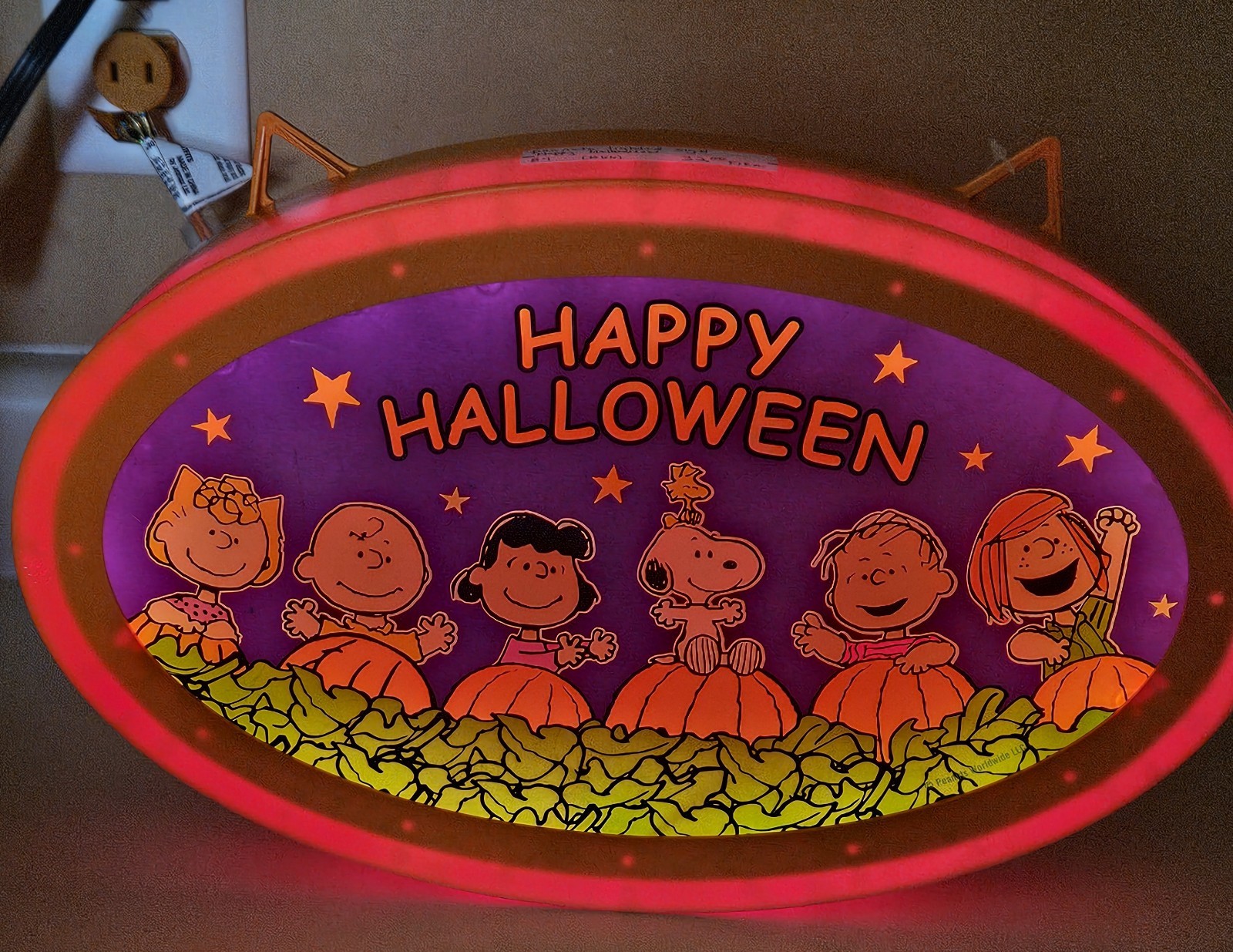 Rare Peanuts Charlie Brown 14\