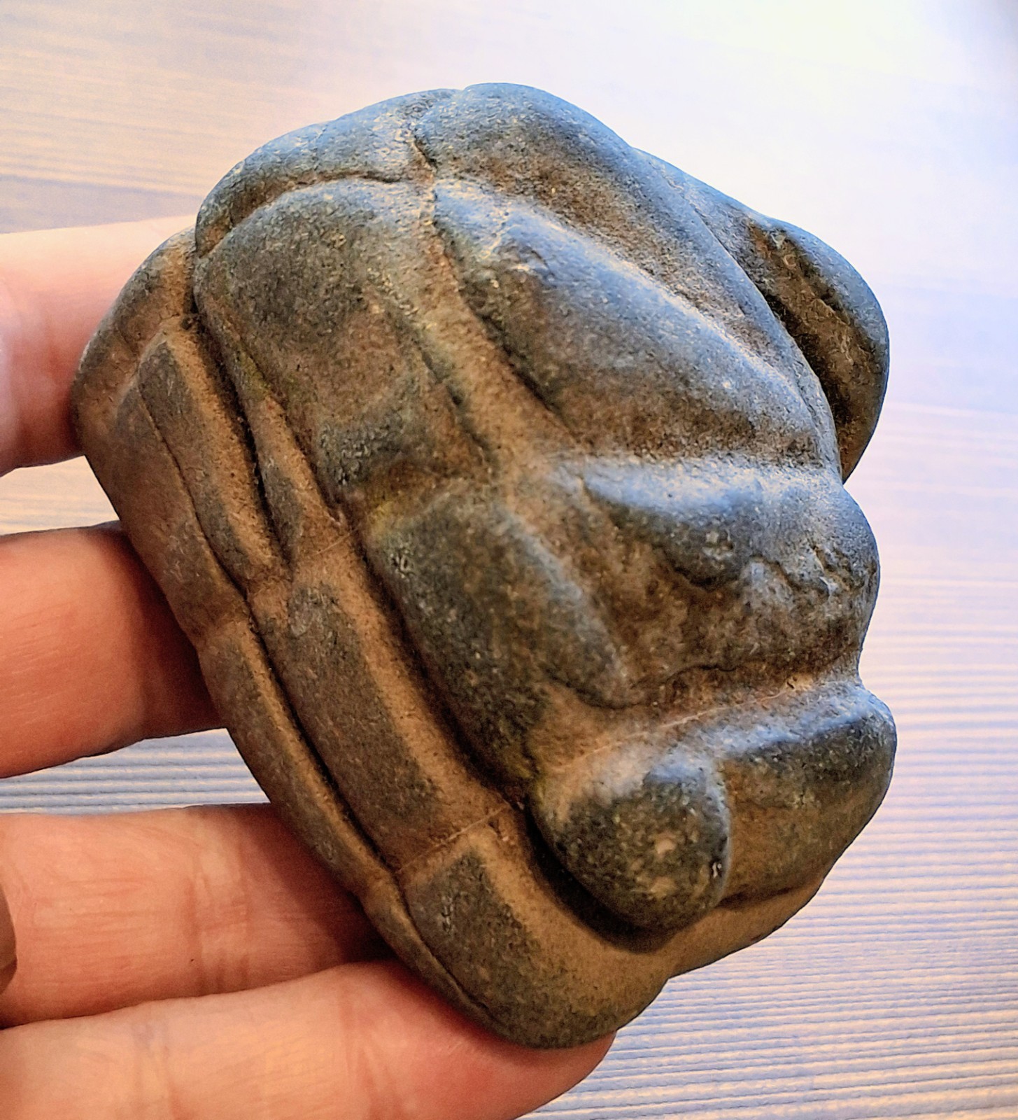 Sinew Stone Abrading Stone Museum Quality Indian Artifacts Sinew Stone Abrading Stone Museum Quality Indian Artifacts