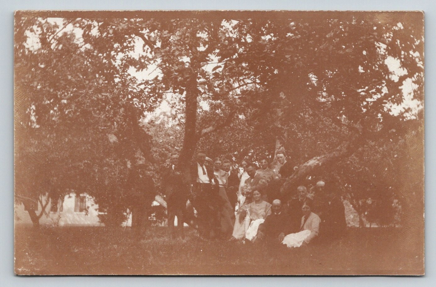 Vintage RPPC Large Group Family Portrait Under Trees Orchard Garden Sepia Vintage RPPC Large Group Family Portrait Under Trees Orchard Garden Sepia