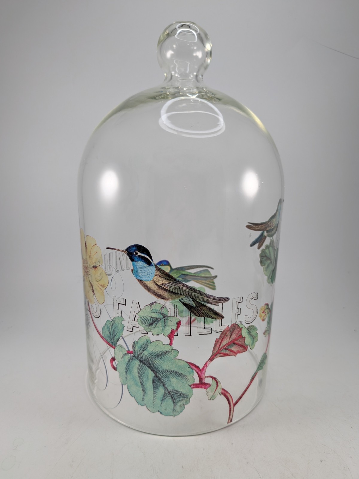 Large Vintage Clear Glass Bell Jar Dome Cloche with Top Knob Hummingbirds 11 Large Vintage Clear Glass Bell Jar Dome Cloche with Top Knob Hummingbirds 11