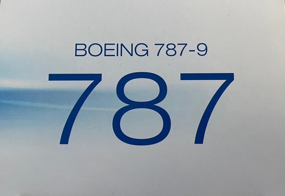 Boeing 787-9 ,1:200, Hogan, House Colors, Wood Stand Boeing 787-9 ,1:200, Hogan, House Colors, Wood Stand