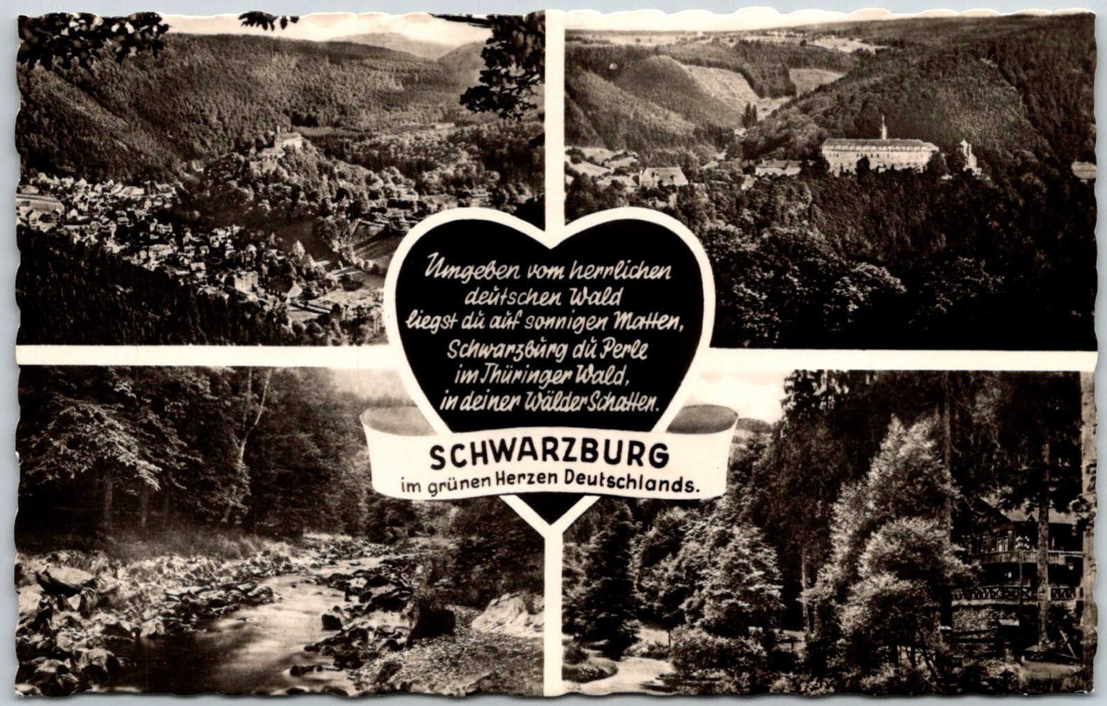 Schwarzburg East Germany Multiview Forest Hills Heart Design RPPC Postcard