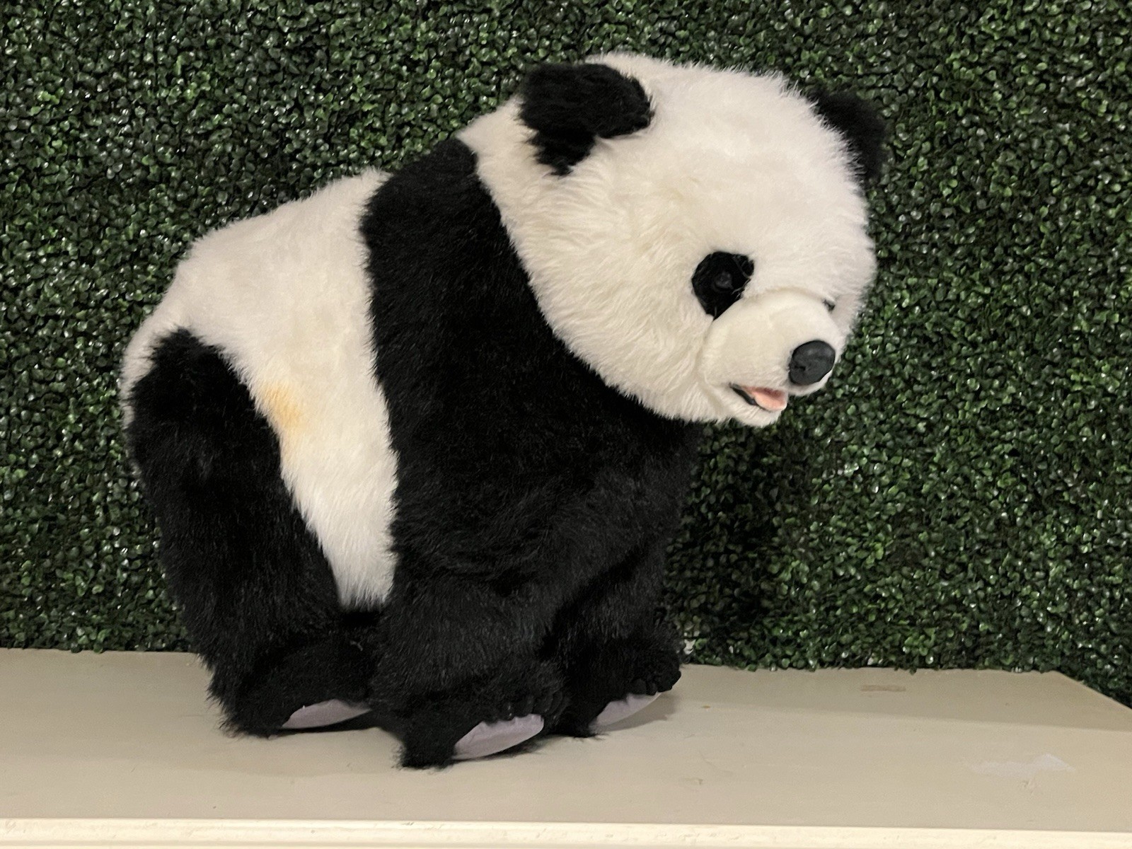 Large Walking/Standing Hansa Panda Bear On All Four Feet 29''L X 24