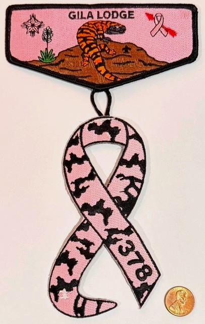 BSA GILA OA 378 78 66 YUCCA 2025 BUG SCUFFLE BREAST CANCER AWARENESS 2-PATCH SET