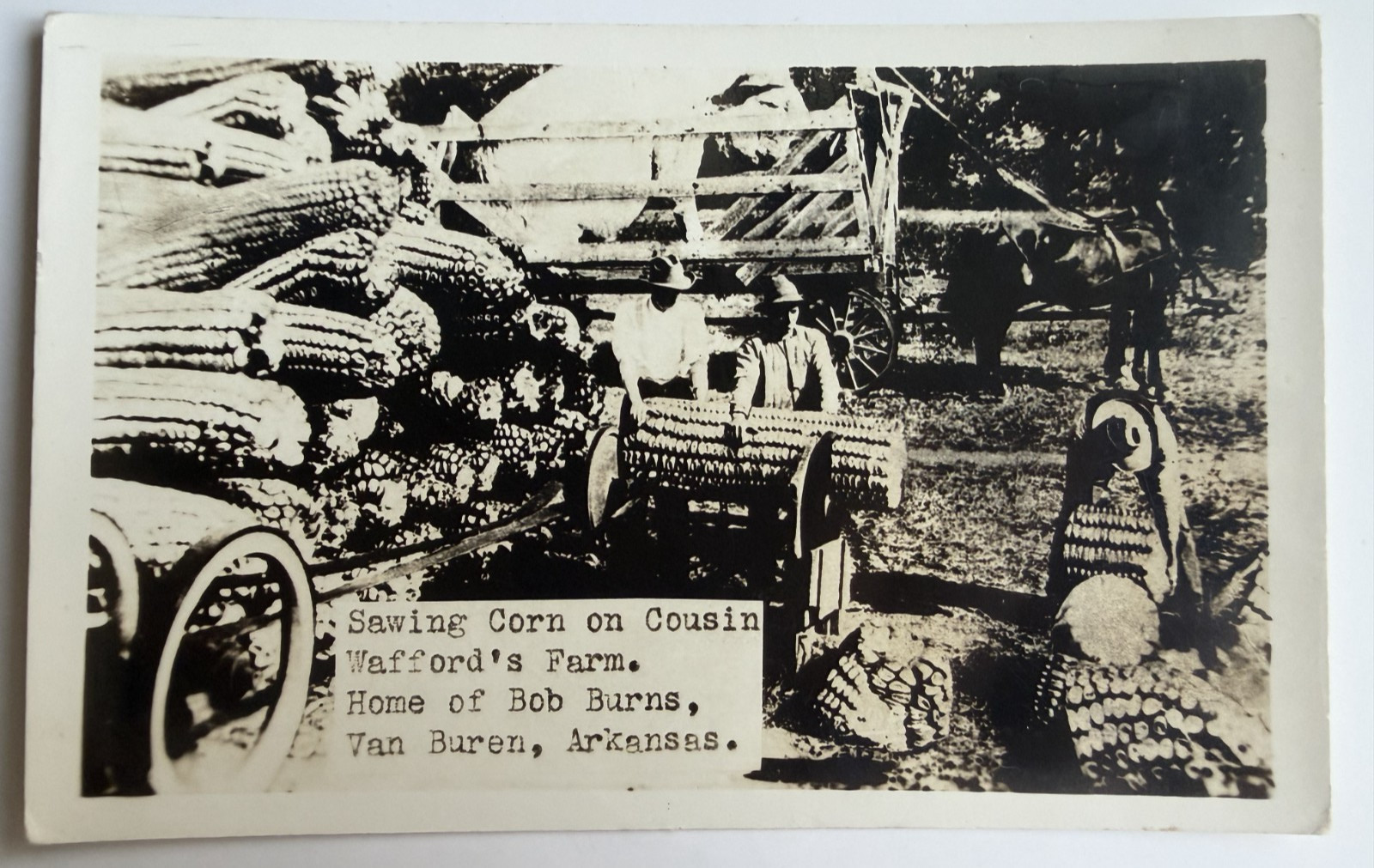 c1940s RPPC Sawing Corn On Cousin Wafford's Farm Van Buren AR Exaggeration 