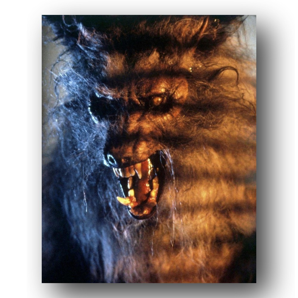 The Howling Monster Photo 8x10 Joe Dante Film Set 1981 Werewolf Horror Californi The Howling Monster Photo 8x10 Joe Dante Film Set 1981 Werewolf Horror Californi