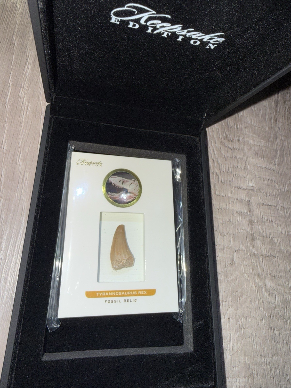 2023 Super Break Keepsake Edition Tyrannosaurus Rex Tooth T-Rex #07/50 2023 Super Break Keepsake Edition Tyrannosaurus Rex Tooth T-Rex #07/50