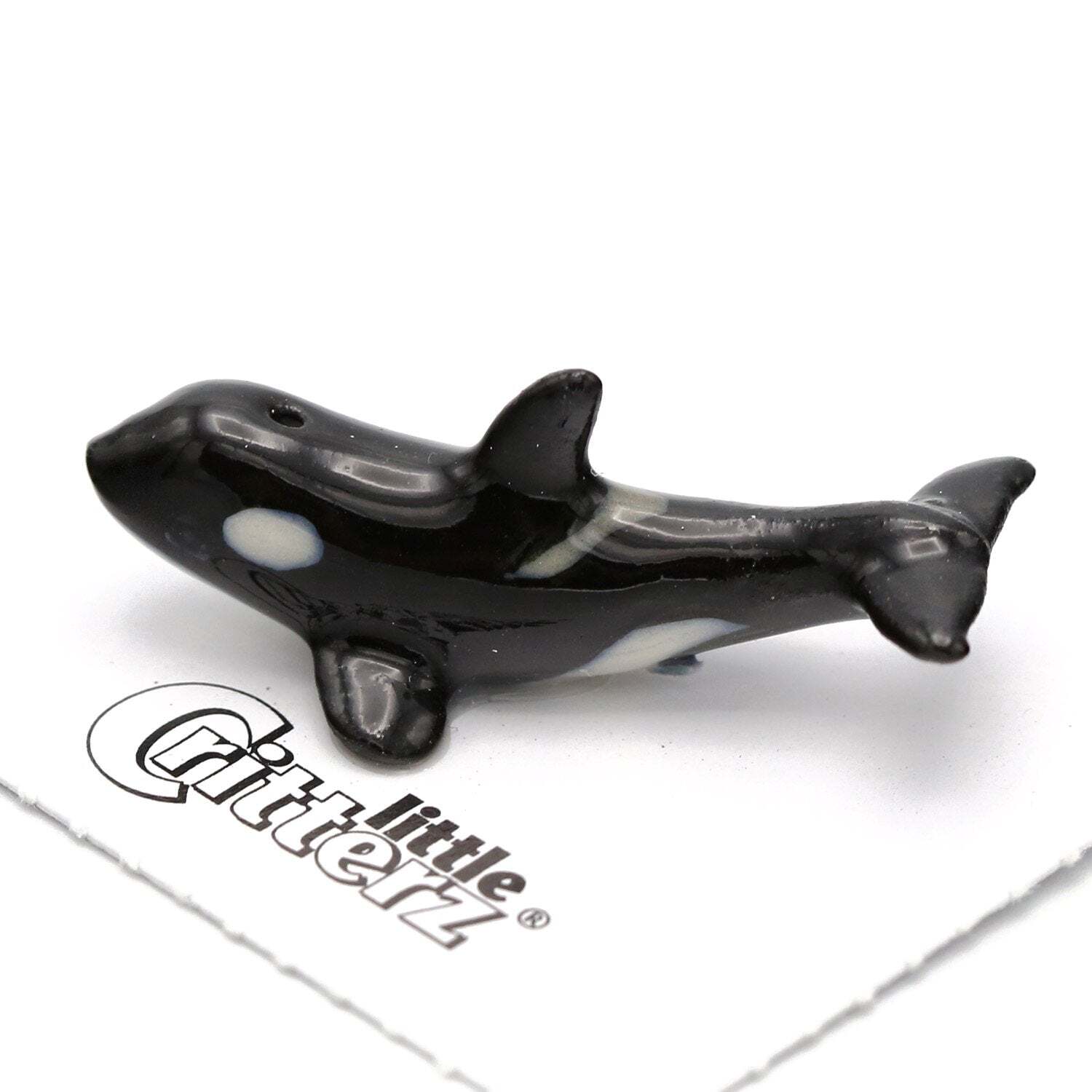 Little Critterz Black - Orca \