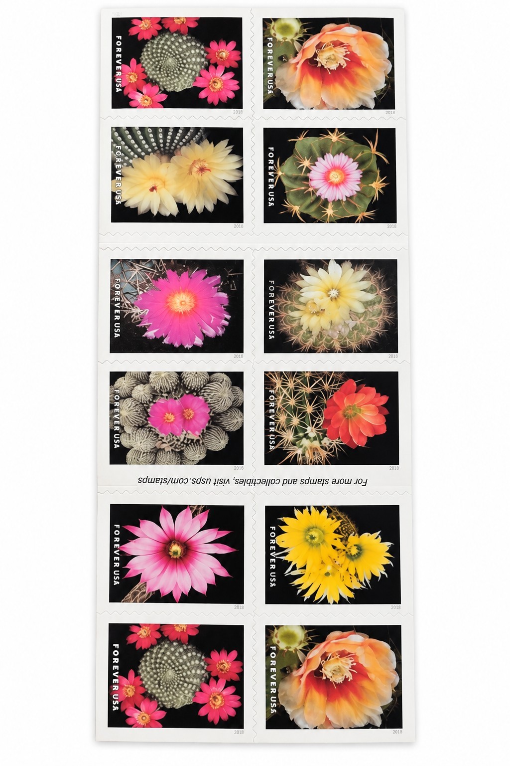 USPS CACTUS FLOWERS BOOKLET OF 20 FIRST CLASS LETTER STAMPS USPS CACTUS FLOWERS BOOKLET OF 20 FIRST CLASS LETTER STAMPS