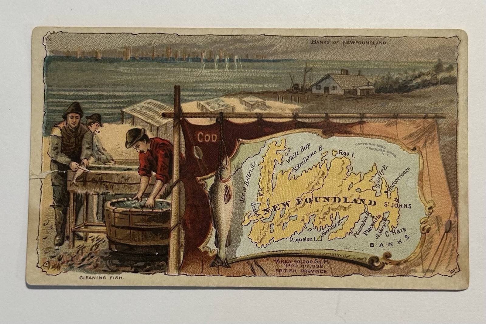 1889 Arbuckle Coffee Trade Card No 77 Newfoundland Map & Fish Cleaning Vignette 