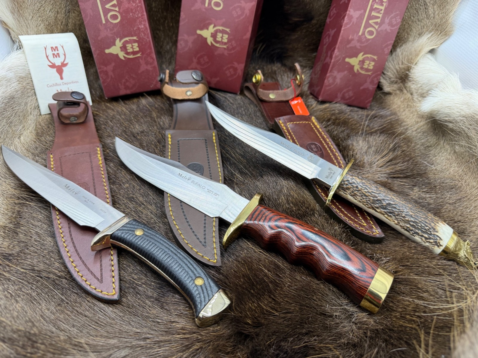 Three (3) Muela Boar, 90058, & Buffalo  Knives With Sheaths Mint In Boxes ++
