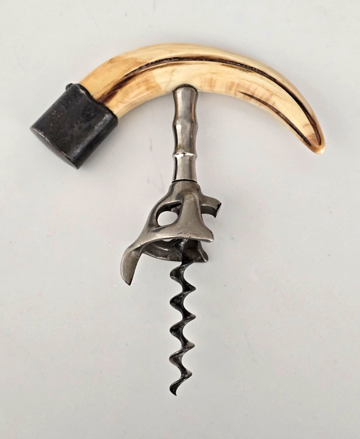 Antique c1890 Wild Boar Tusk Corkscrew Sterling Silver Walker Bell Mechanism Antique c1890 Wild Boar Tusk Corkscrew Sterling Silver Walker Bell Mechanism