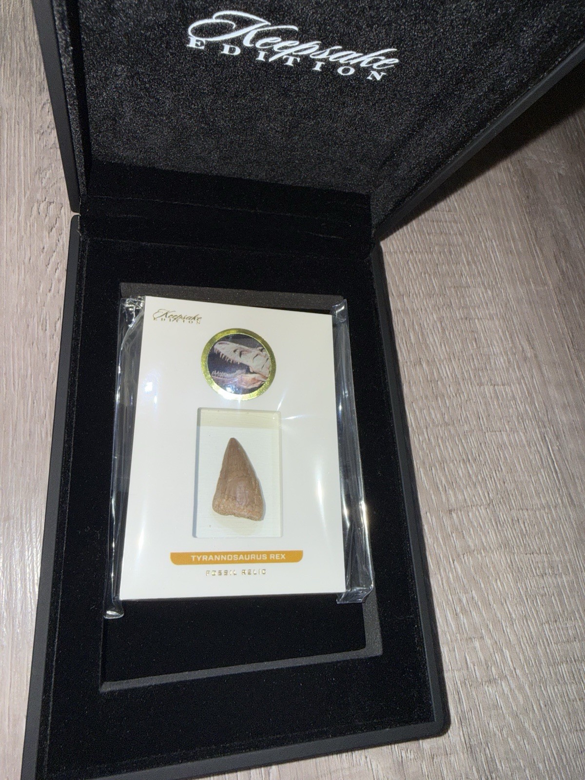 2023 Super Break Keepsake Edition Tyrannosaurus Rex Tooth T-Rex #34/50 2023 Super Break Keepsake Edition Tyrannosaurus Rex Tooth T-Rex #34/50