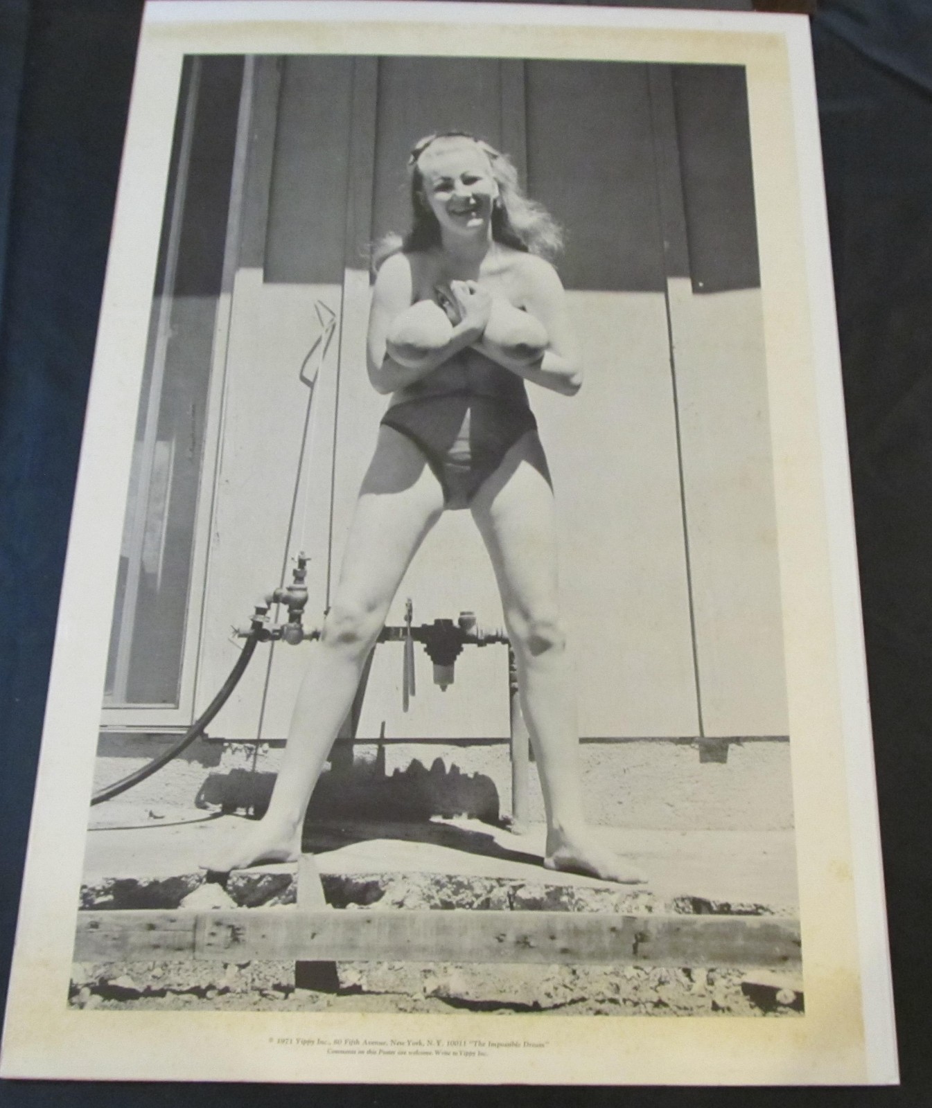 Vintage 1971 Yippy Inc Poster 