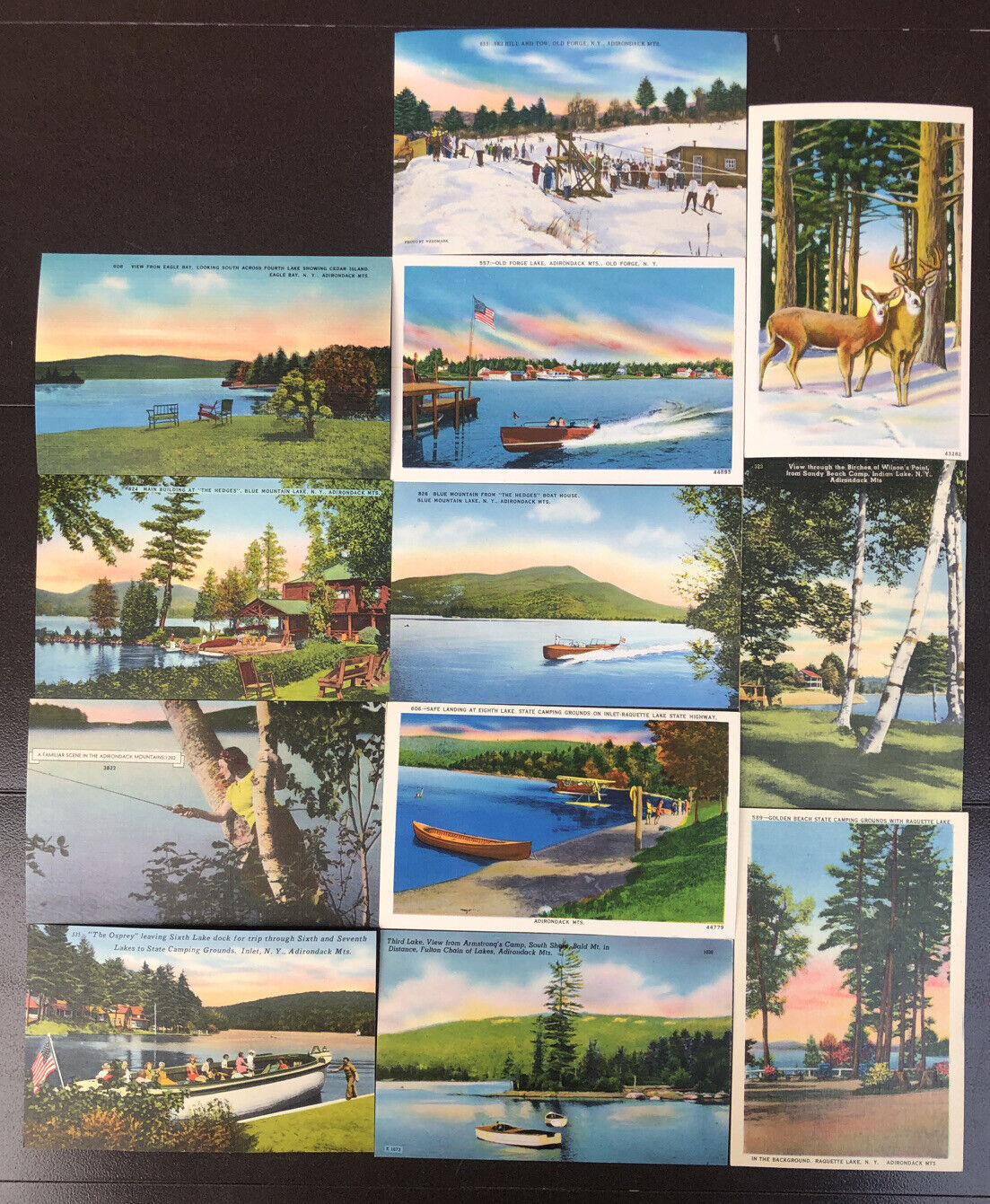 Adirondack Mountains NY Linen Postcard Lot Of 12 c1930s -40s Unposted Excellent