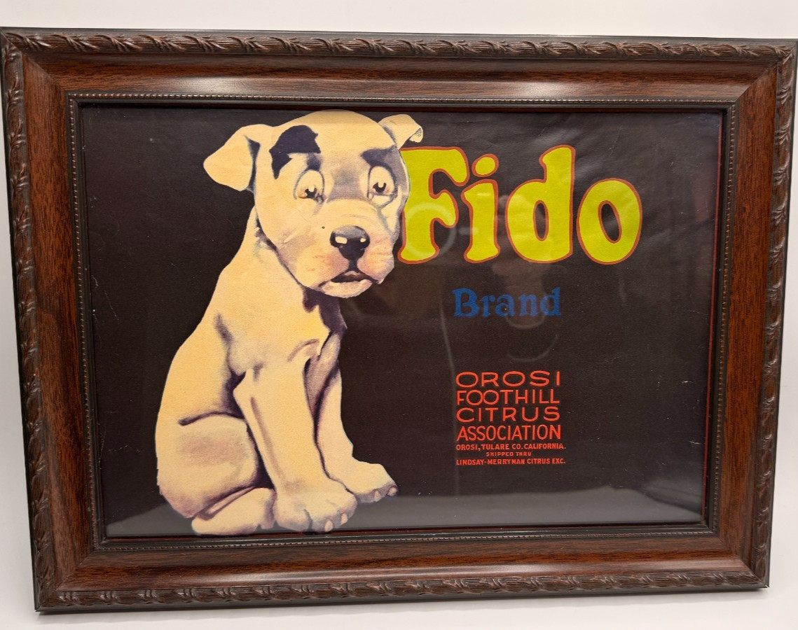 ORIGINAL 1930'S FIDO DOG FRAMED ORANGE CRATE LABEL EXCELLENT CONDITION ORIGINAL 1930'S FIDO DOG FRAMED ORANGE CRATE LABEL EXCELLENT CONDITION
