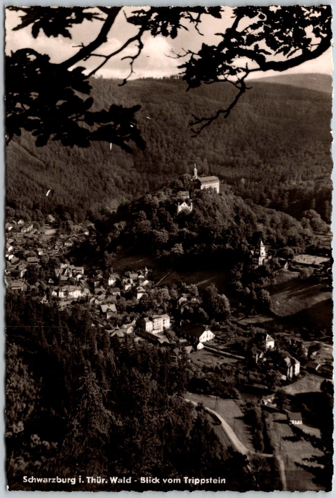Schwarzburg East Germany Thuringian Forest View From Trippstein RPPC Postcard