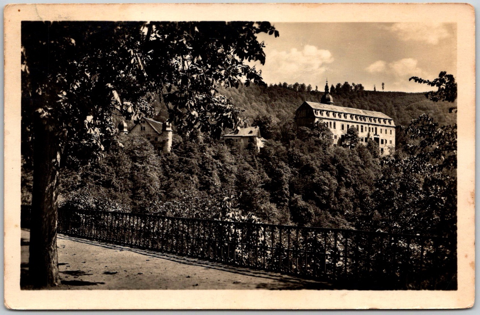 Schwarzburg East Germany Castle Trees Path Fence RPPC Postcard