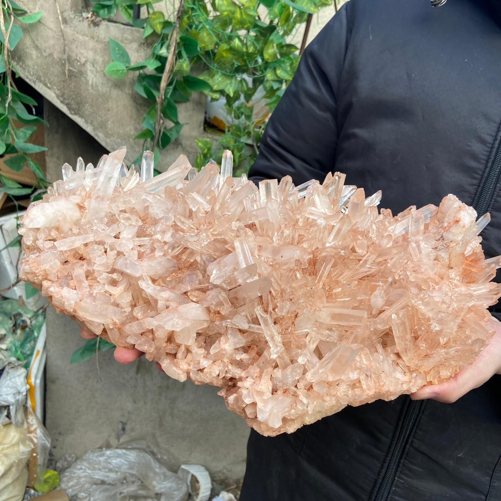 17.9lb Natural Clear PINK White Quartz Crystal Cluster Rough Healing Specimen