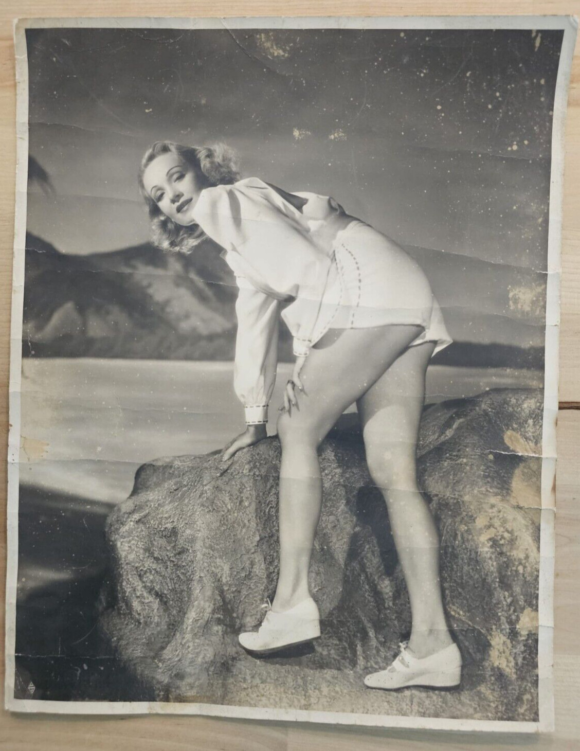 HOLLYWOOD BEAUTY MARLENE DIETRICH CHEESECAKE WILLINGER 1930s XXL ORIG Photo 438 HOLLYWOOD BEAUTY MARLENE DIETRICH CHEESECAKE WILLINGER 1930s XXL ORIG Photo 438