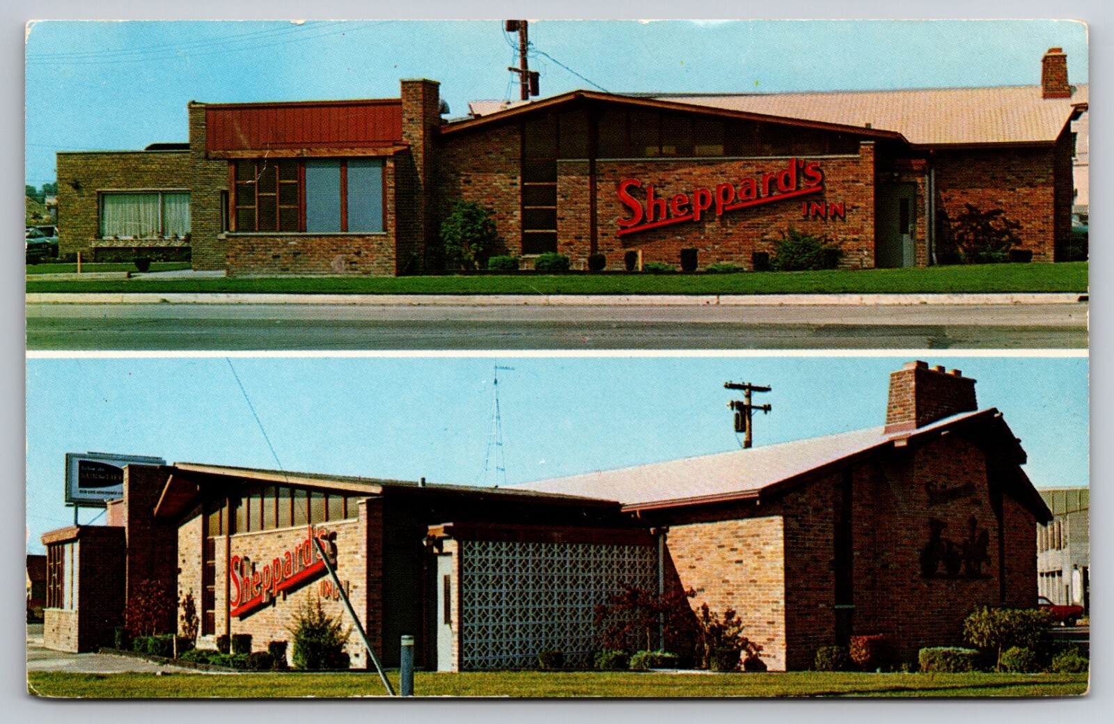 Sheppard's Inn Fraser Michigan MI Chrome c1950 Postcard Sheppard's Inn Fraser Michigan MI Chrome c1950 Postcard