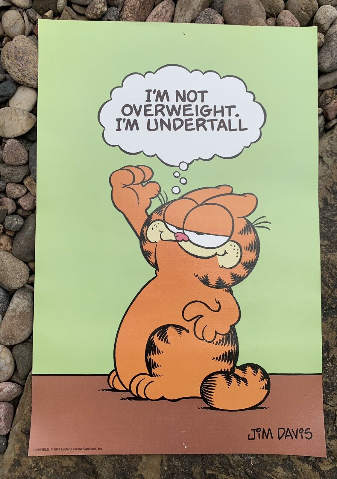 Garfield Vintage Argus I’m Not Overweight. I’m Undertall Poster. Good Condition