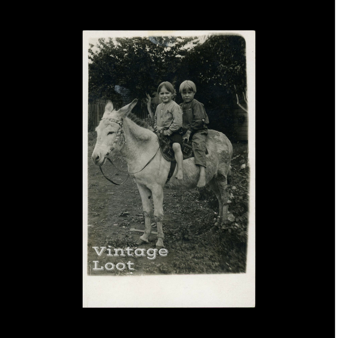 1900s George & Arthur who drowned in Lake WA - Brothers - RPPC Photo Postcard