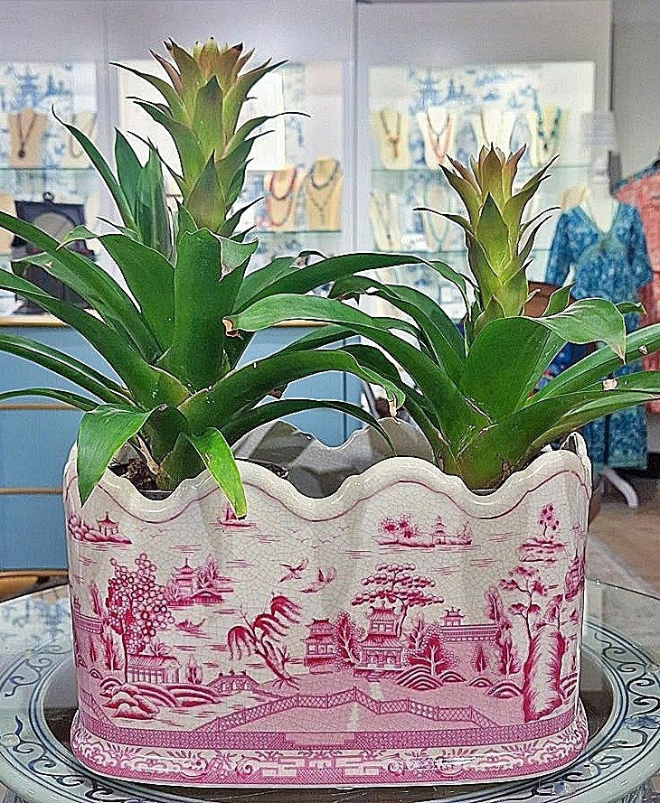 Pink, White Scallop Rim Oval Chinoiserie Porcelain Planter. Hand Painted-12”L