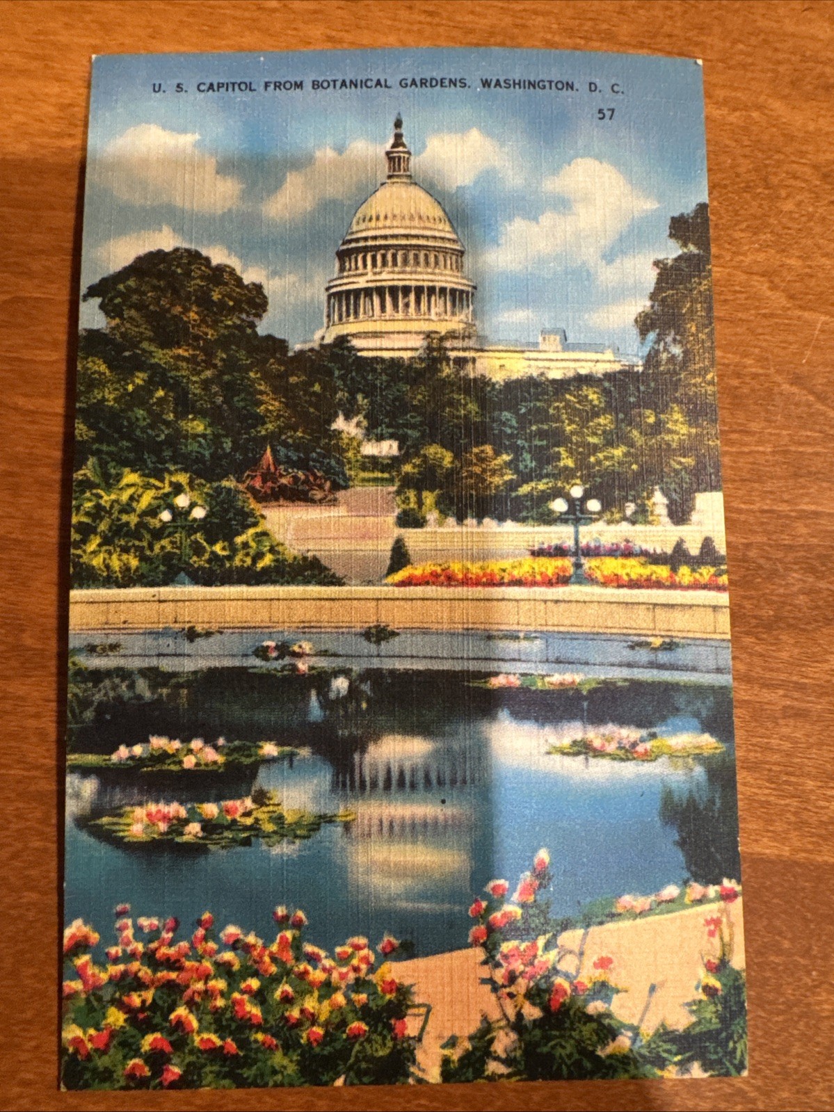Vintage Washington DC Postcards Lot of 5 Capitol Cherry Blossoms Blair House