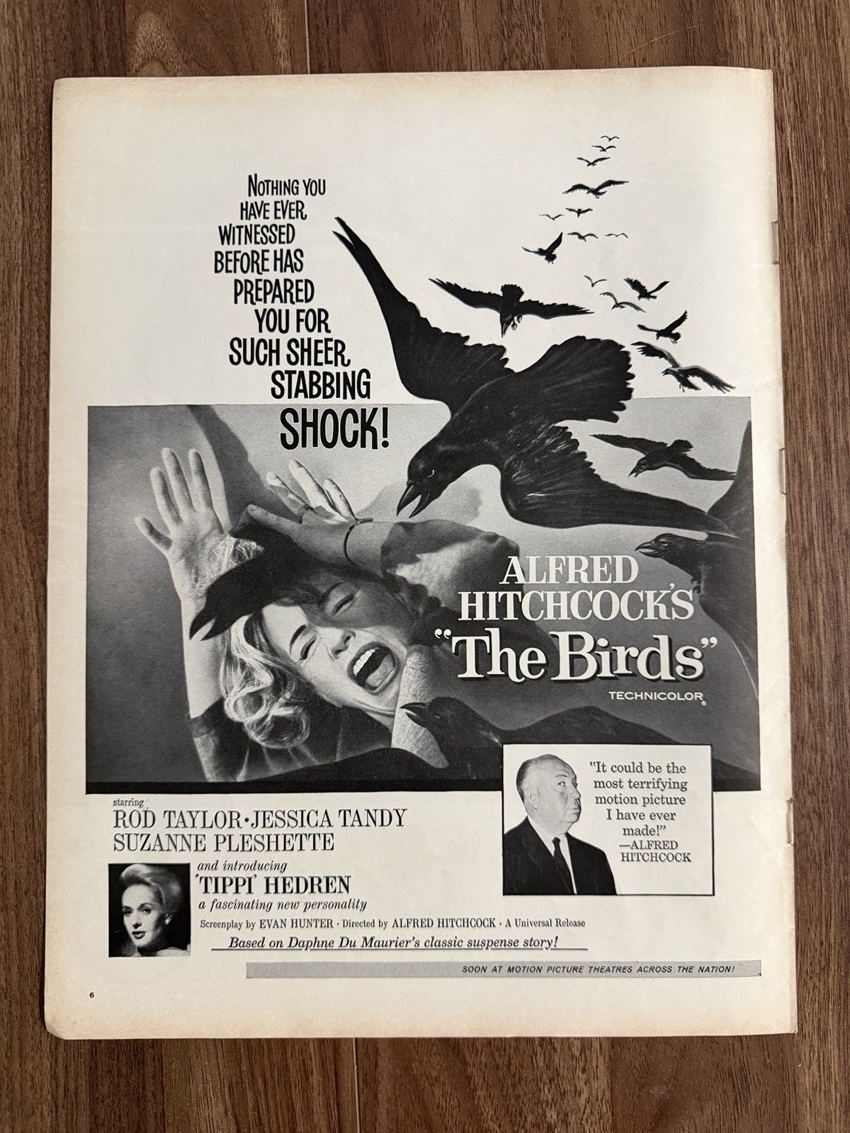 1963 Alfred Hitchcock’s The Birds Movie Film Print Ad Scary Horror Classic 