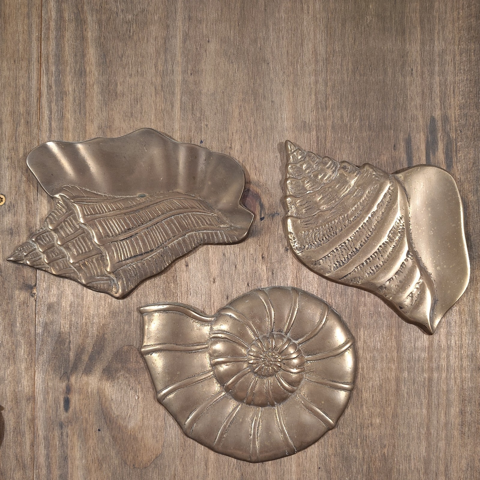 MCM Vintage Solid Brass Sea Shell Wall Hanging Decor Set of 3 Art Deco MCM Vintage Solid Brass Sea Shell Wall Hanging Decor Set of 3 Art Deco