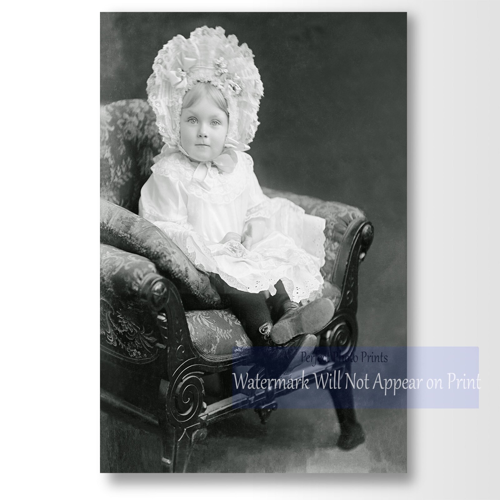 Antique Victorian Era Studio Portrait of Young Girl in Bonnet Photo Print Antique Victorian Era Studio Portrait of Young Girl in Bonnet Photo Print