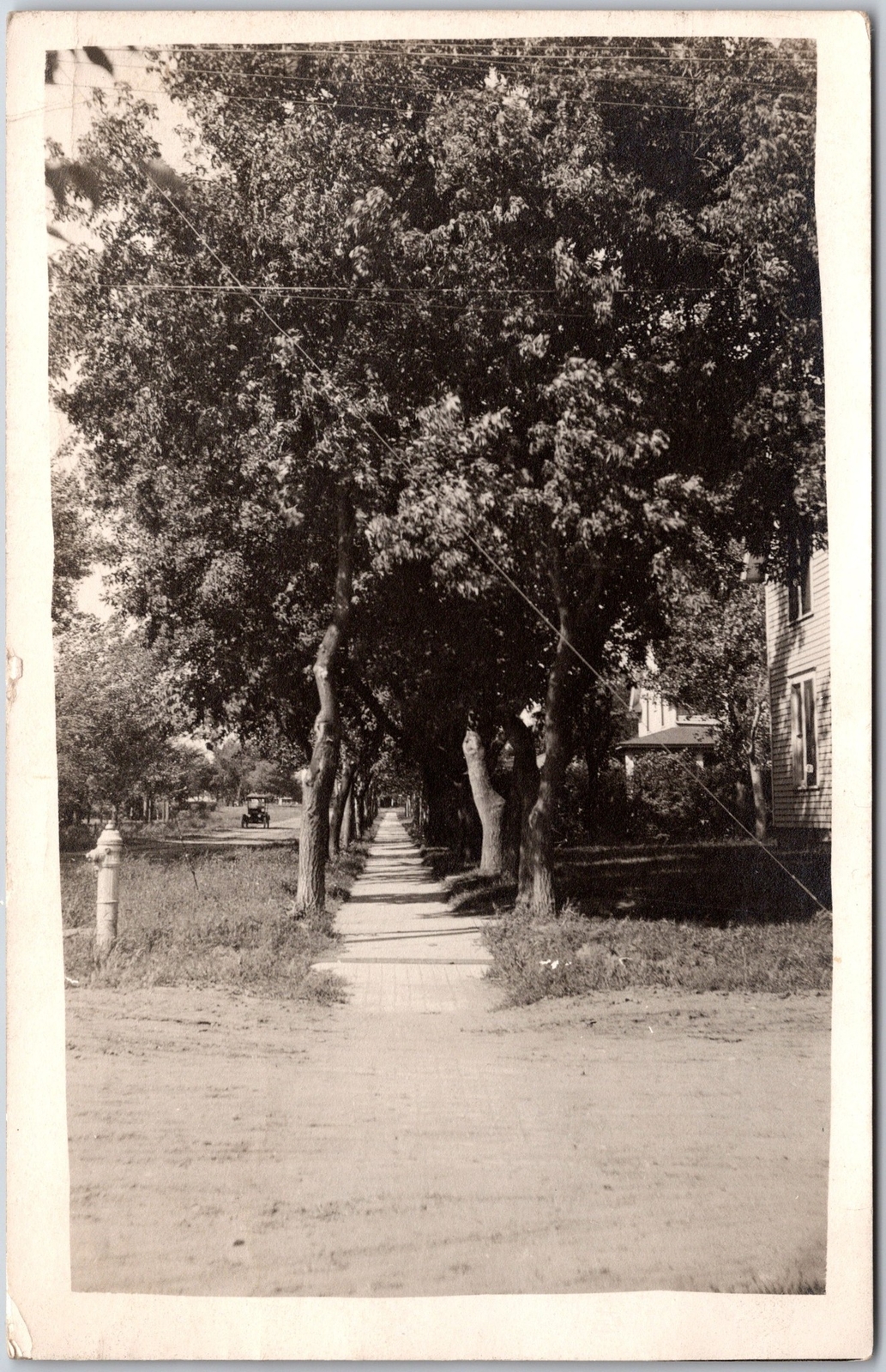 1919 Pathway Along The Trees Houses Real Photo RPPC Posted Postcard 1919 Pathway Along The Trees Houses Real Photo RPPC Posted Postcard