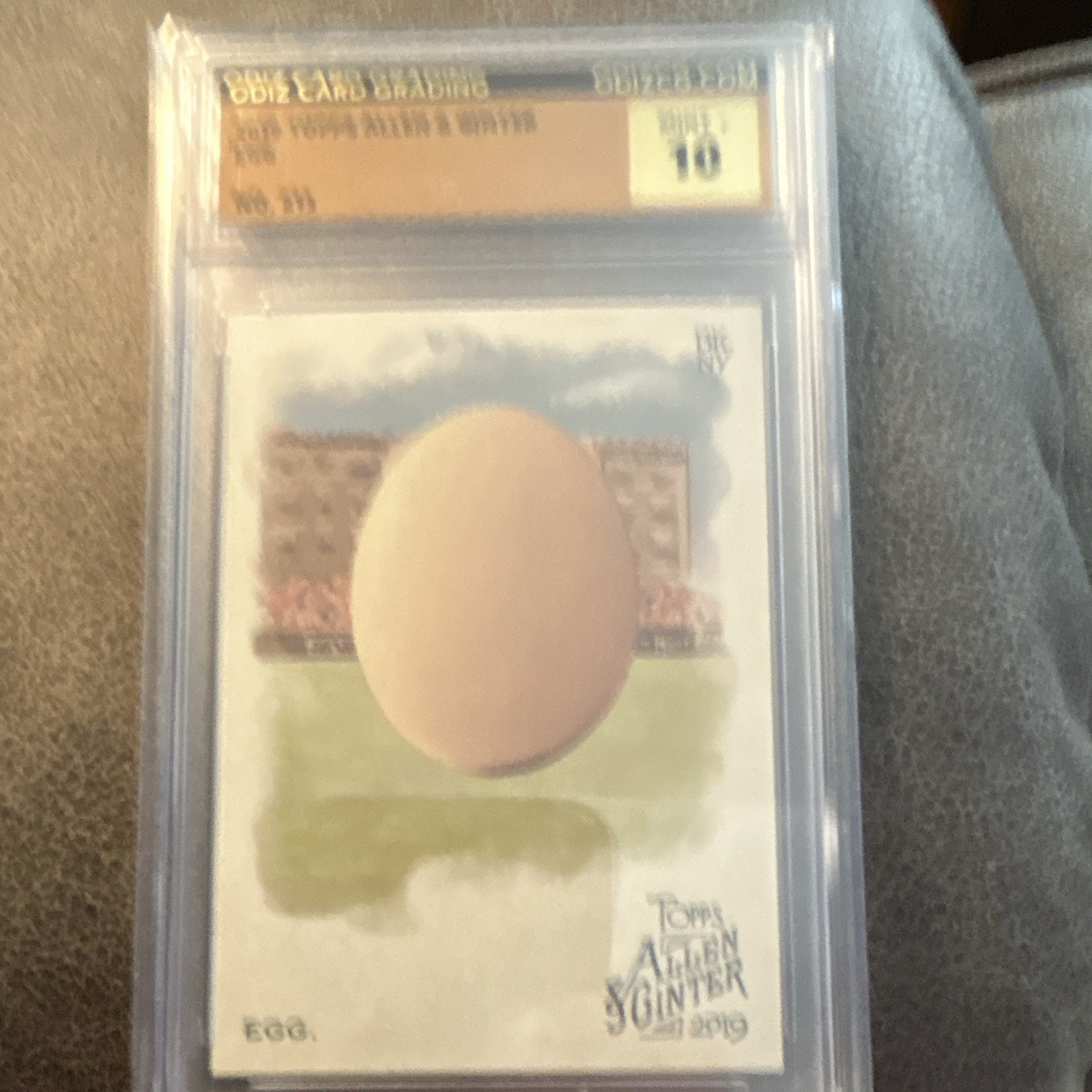 Topps 2019 Allen & Ginter The World\'s Champions EGG #213 ODIZ Graded 10 Topps 2019 Allen & Ginter The World\'s Champions EGG #213 ODIZ Graded 10