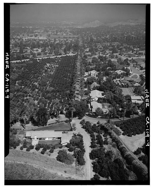Riverside California Arlington Heights Orange Groves Aerial View 1900s