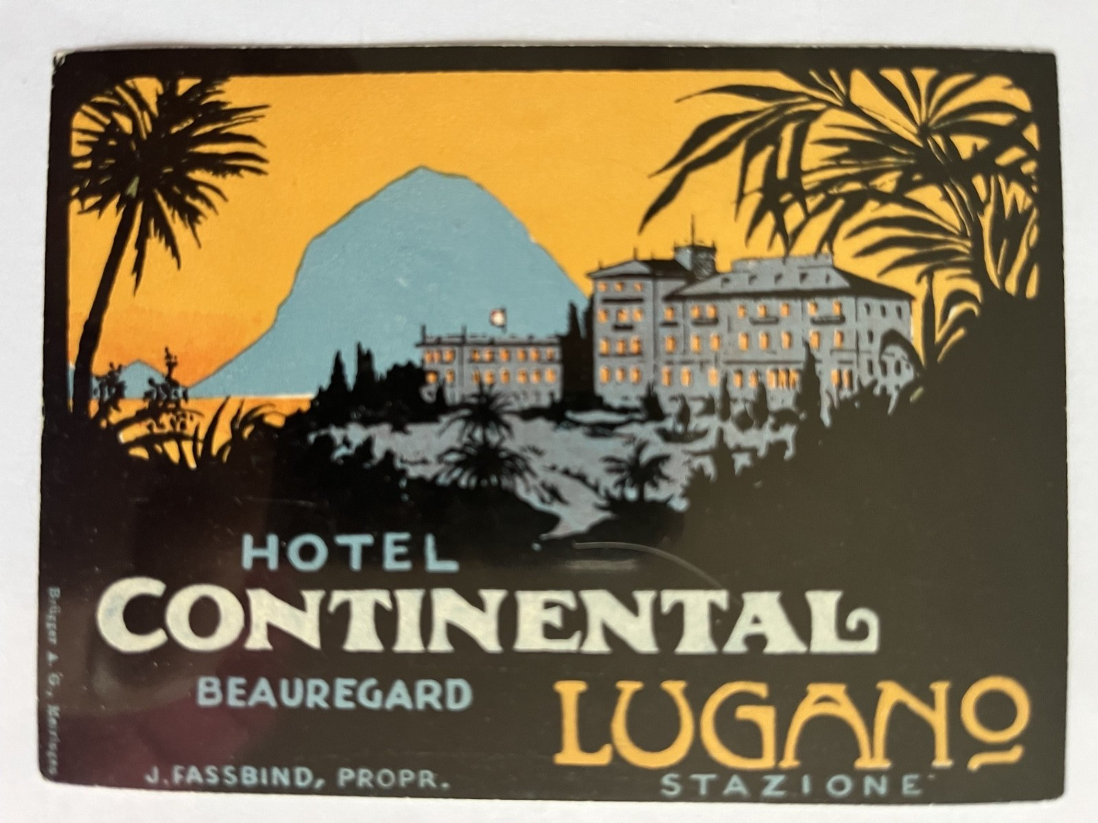 Luggage label collectible advertising Hotel Continental Lugano Luggage label collectible advertising Hotel Continental Lugano