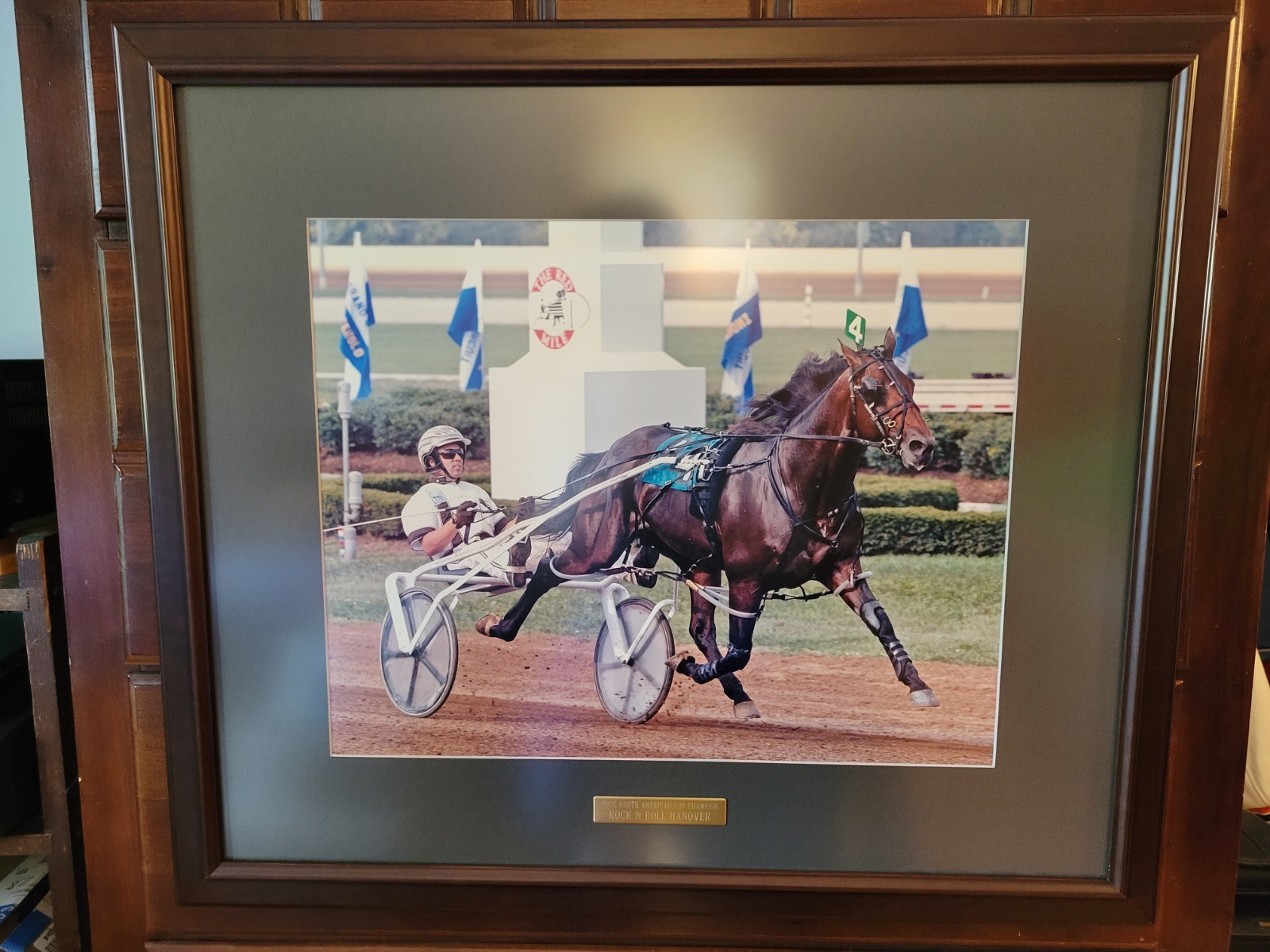 Framed 29 3/4 x 25 3/4 USTA Photo - Rock N Roll Hanover Driven By Brian Sears Framed 29 3/4 x 25 3/4 USTA Photo - Rock N Roll Hanover Driven By Brian Sears