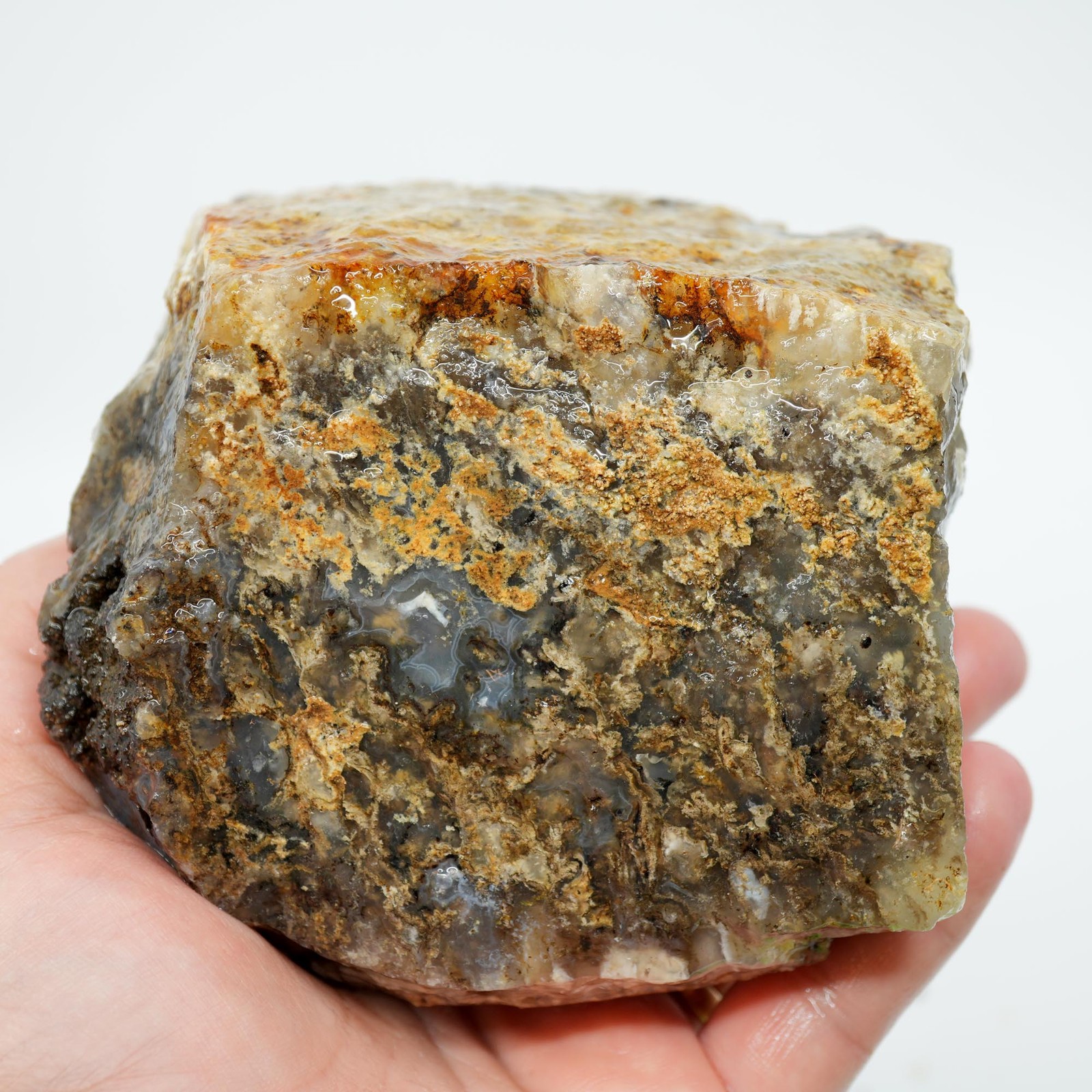 Graveyard Point Plume Agate Rough - Classic Long Black Plume in Translucent