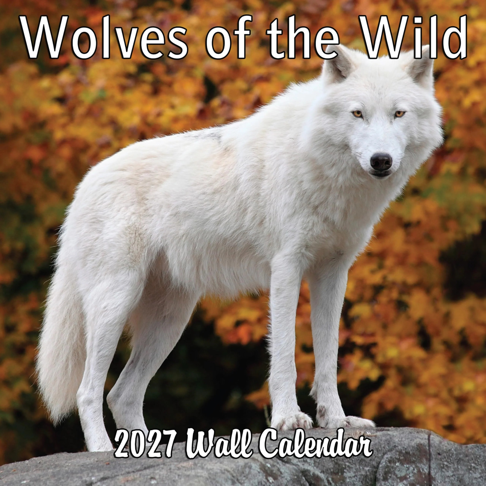 2027 Wolves of the Wild Monthly Wall Calendar 2027 Wolves of the Wild Monthly Wall Calendar