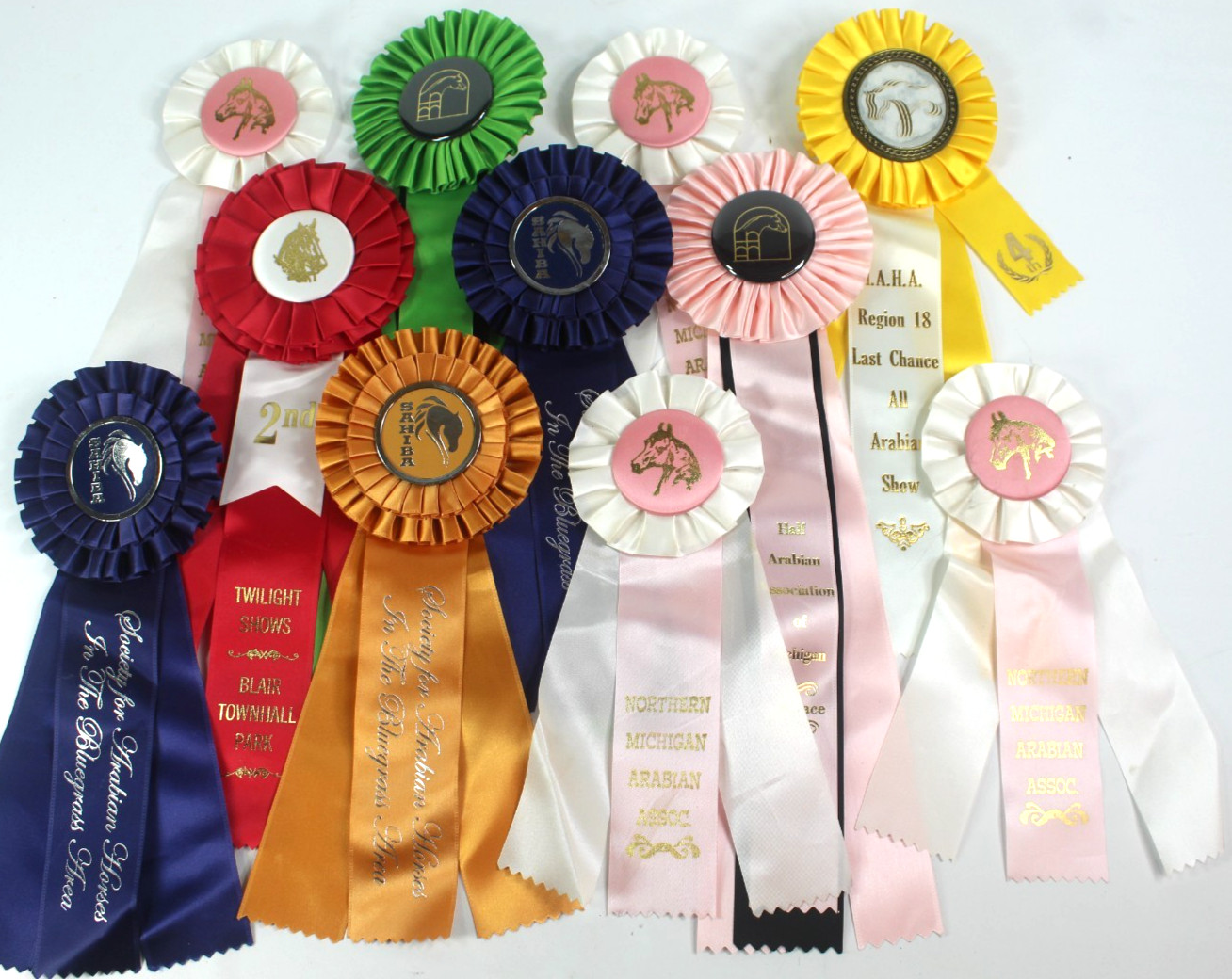 Lot Of 11 Horse Show Ribbons.  Mostly Arabian Horses and Associations. See Pics.
