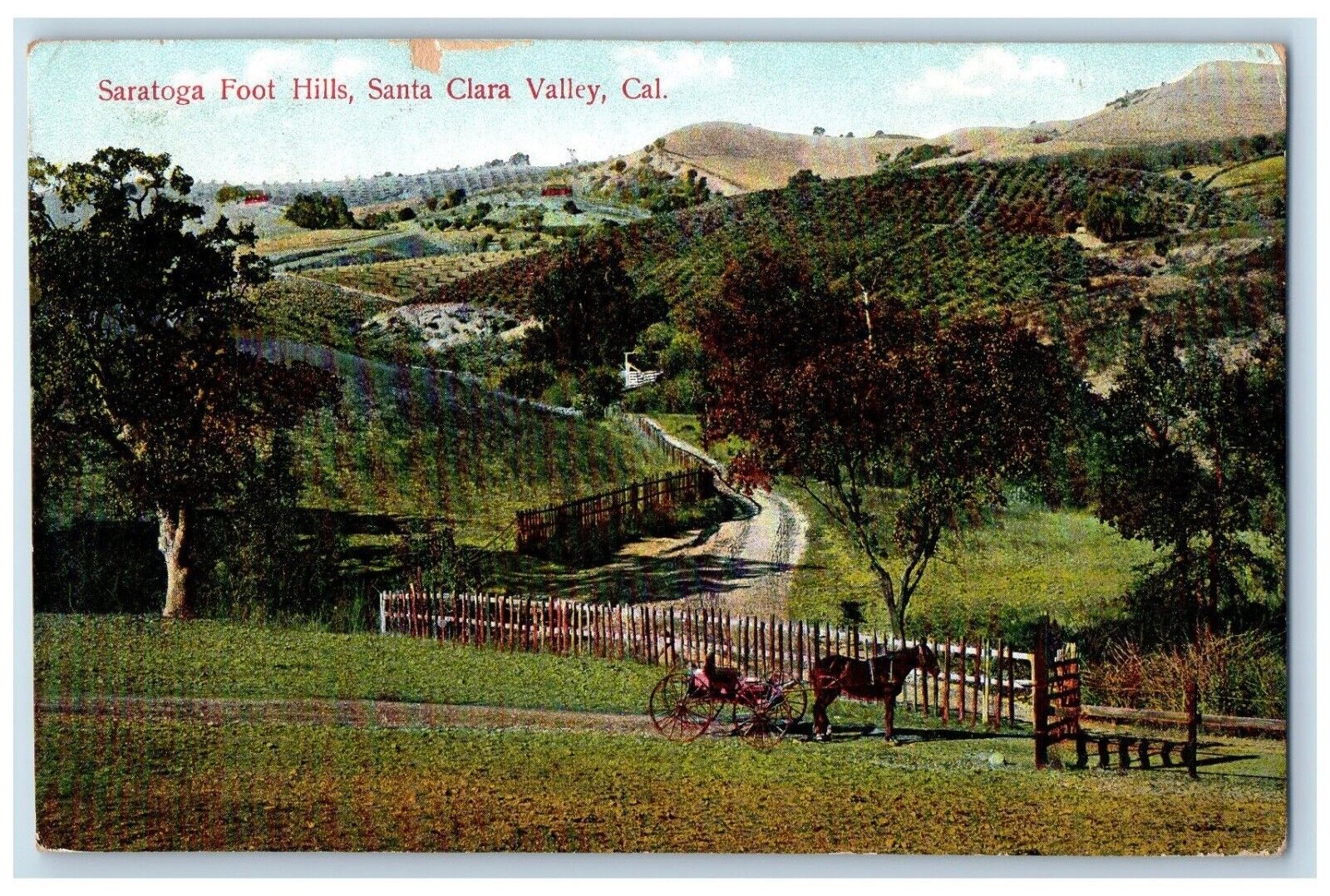 1909 Saratoga Foot Hills Santa Clara Valley California CA Vintage Horse Postcard