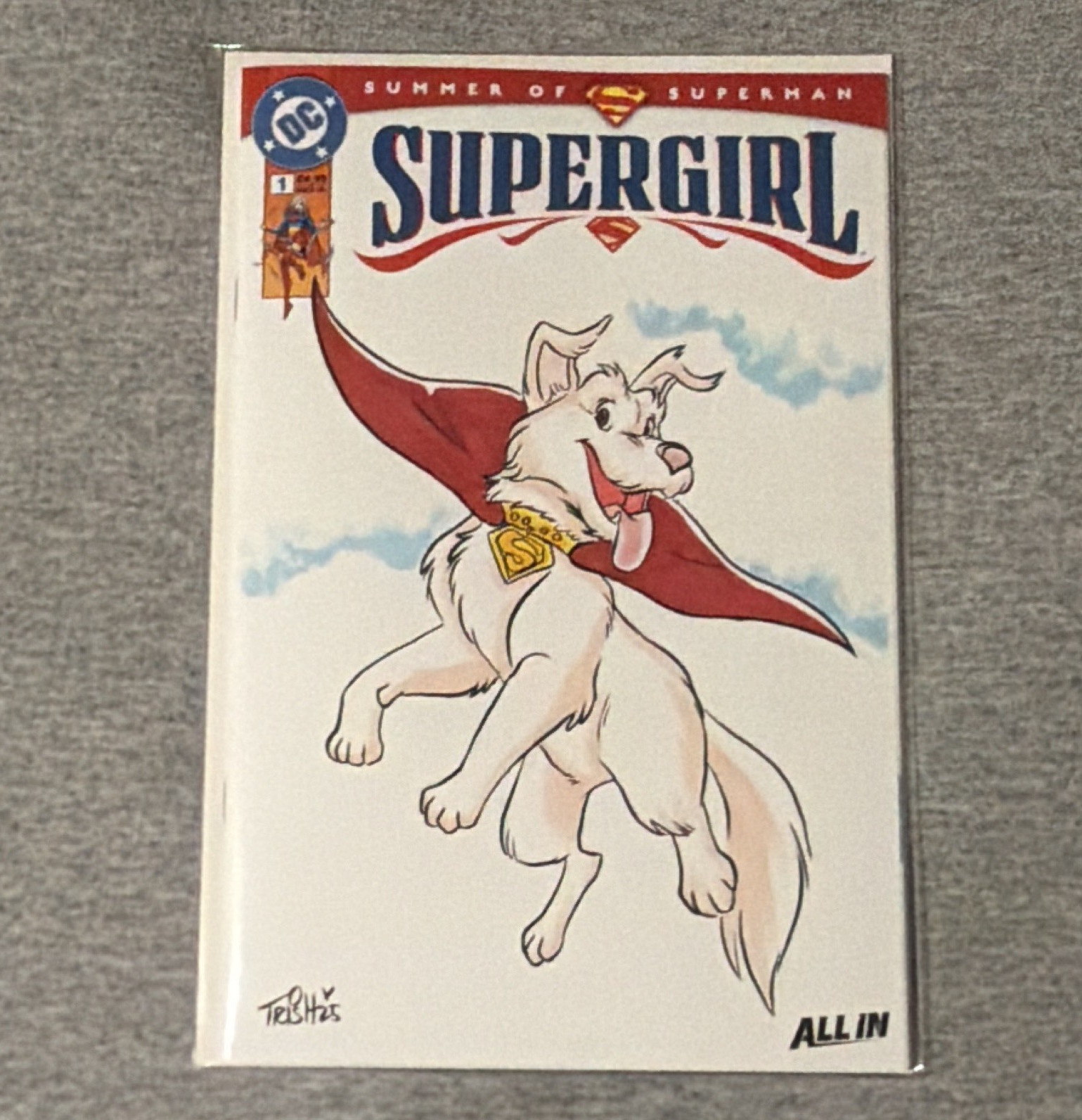 Supergirl #1 Commission Cover  Trish Forstner of Stray Dogs and Feral Fame NM