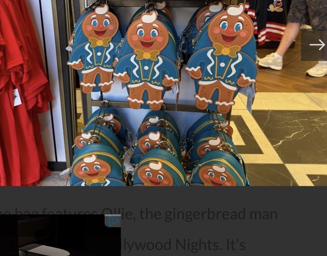 Hollywood Studios Bollywood Night 2025 Ollie Bag Hollywood Studios Bollywood Night 2025 Ollie Bag