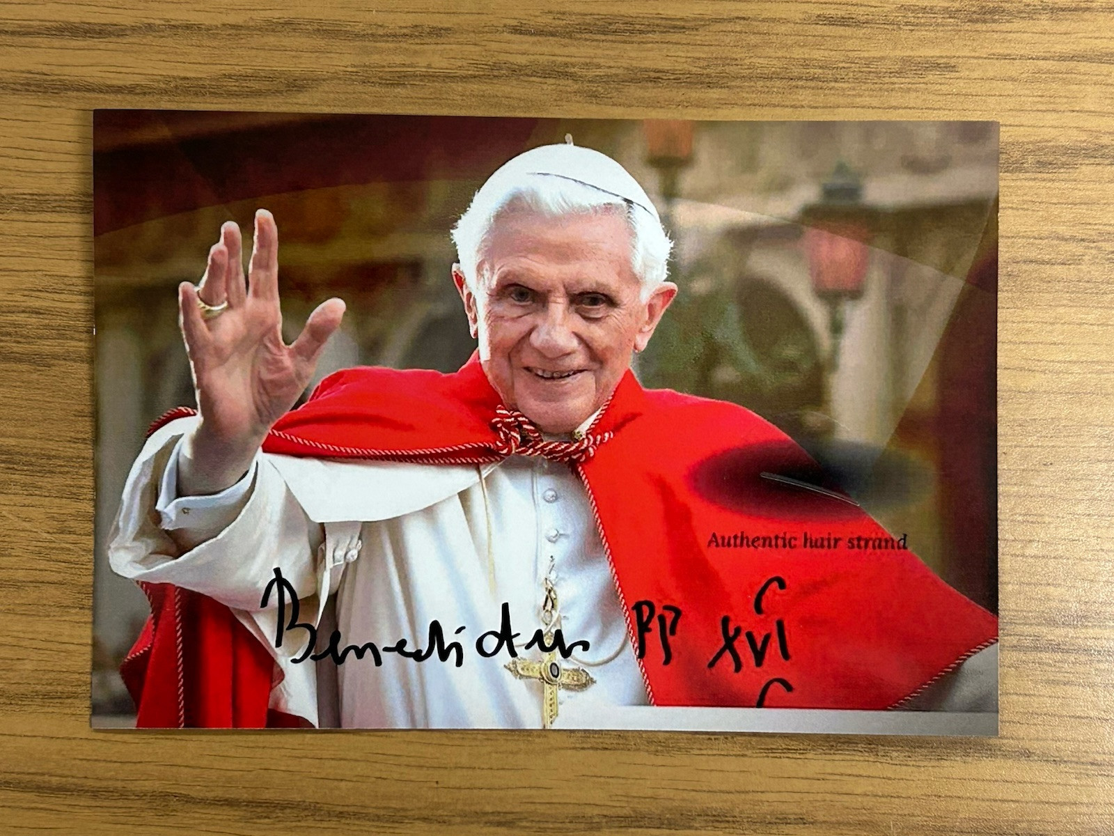 Pope Benedict XVI hair strand lock Holy Catholic Church Photo Display
