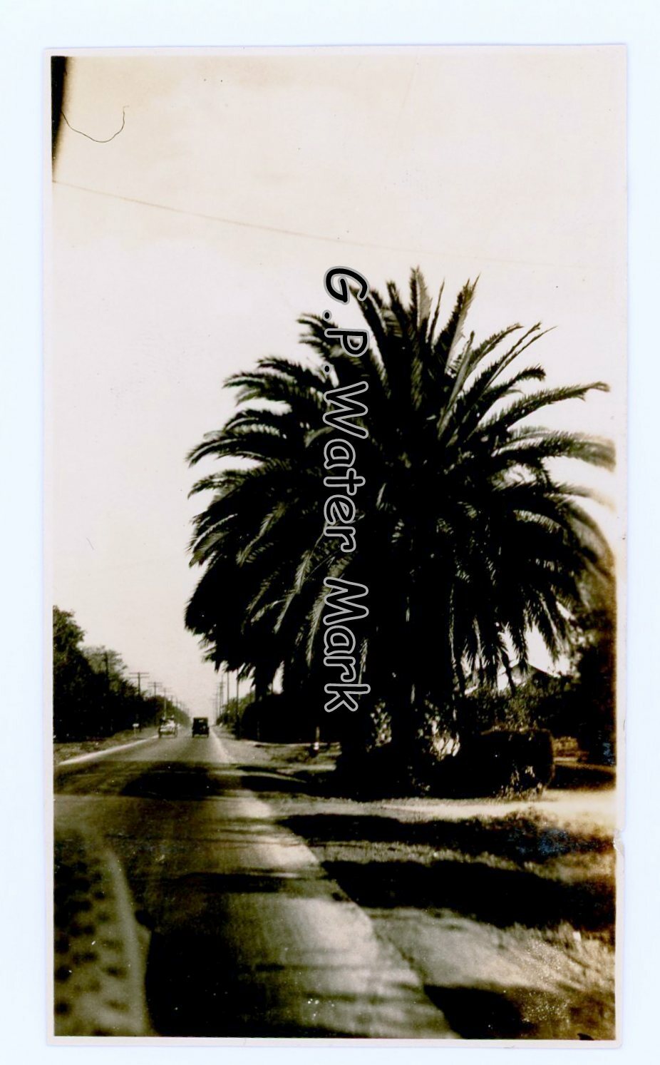1918 On the road to Riverside California Photograph Ca Photo #1 1918 On the road to Riverside California Photograph Ca Photo #1