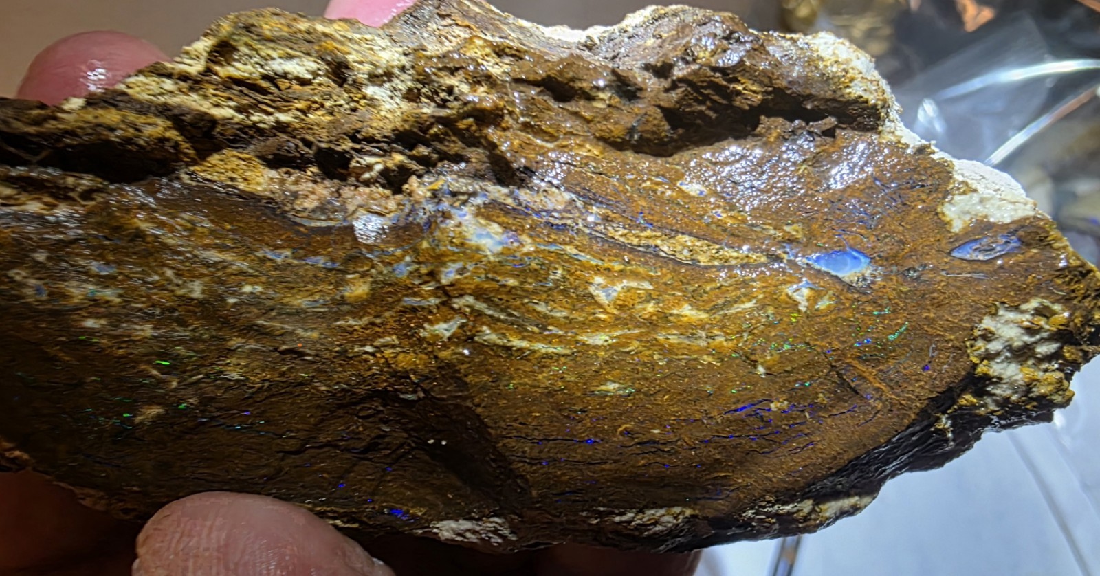 Australian Boulder opal rough Koroit 870 carats Australian Boulder opal rough Koroit 870 carats